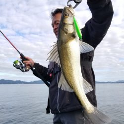 アマテラス 釣果