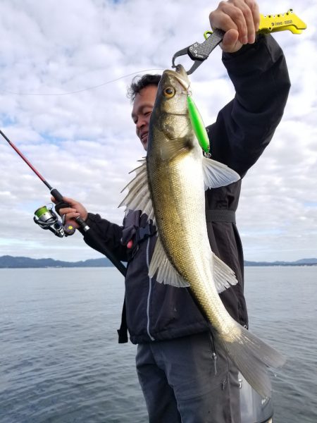 アマテラス 釣果