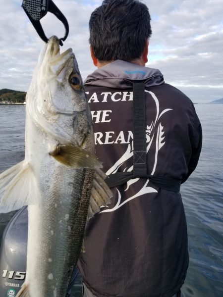 アマテラス 釣果