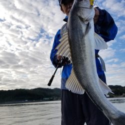 アマテラス 釣果