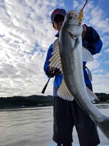 アマテラス 釣果