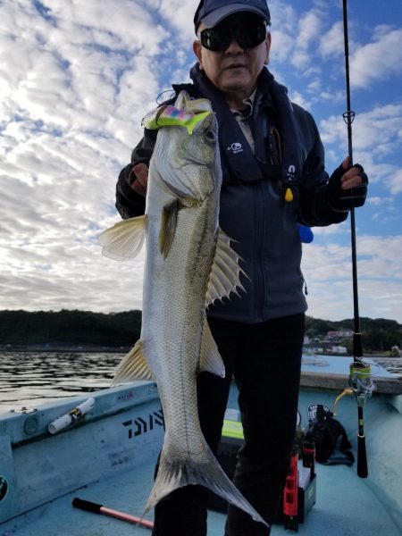 アマテラス 釣果