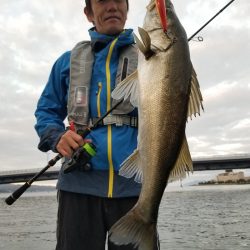 アマテラス 釣果