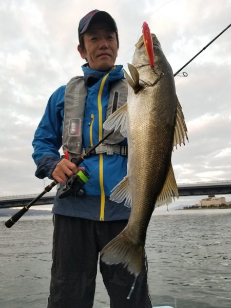 アマテラス 釣果