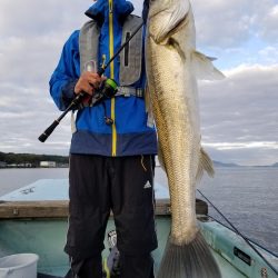 アマテラス 釣果