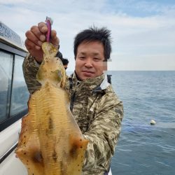 ソルトウォーターガイドフレンズ 釣果