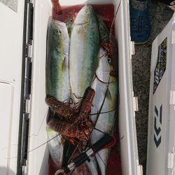 エンペラー 釣果