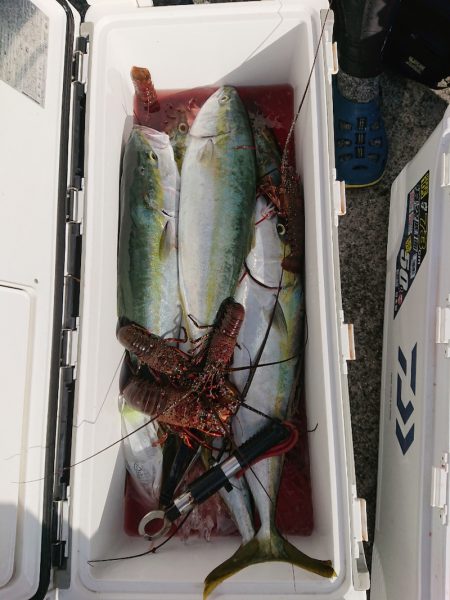 エンペラー 釣果