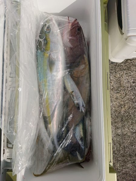 エンペラー 釣果