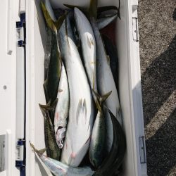 エンペラー 釣果