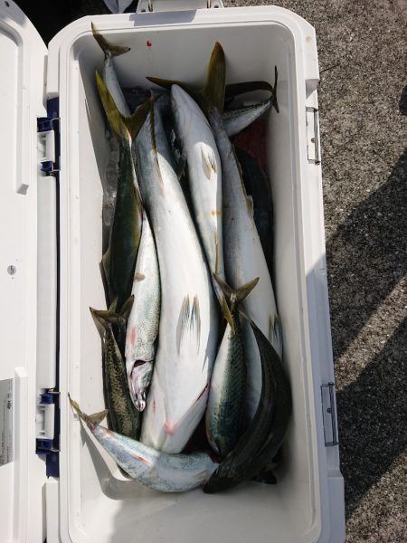 エンペラー 釣果