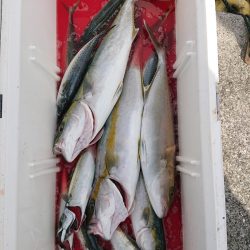 エンペラー 釣果