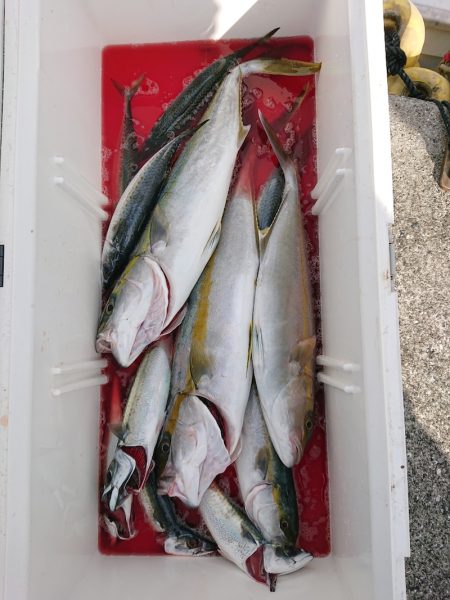 エンペラー 釣果