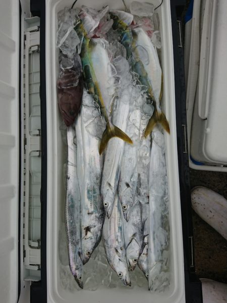 ありもと丸 釣果