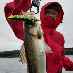 アマテラス 釣果