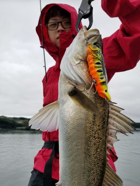 アマテラス 釣果