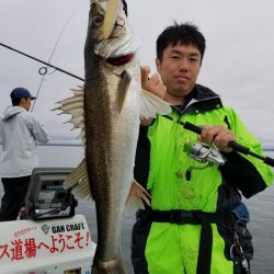 アマテラス 釣果