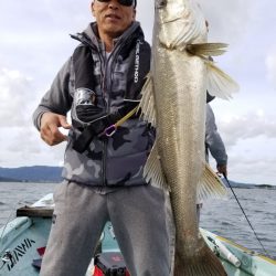 アマテラス 釣果