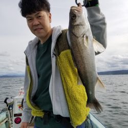 アマテラス 釣果