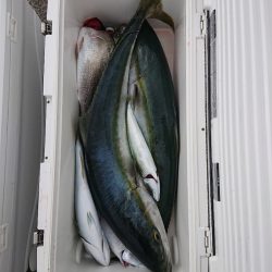 エンペラー 釣果