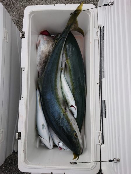 エンペラー 釣果