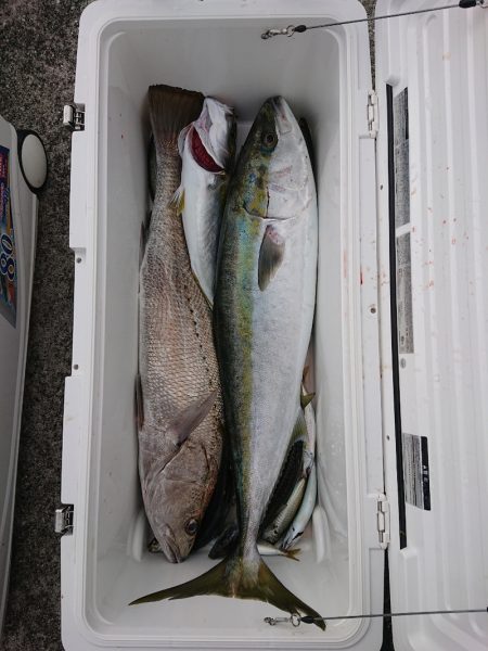 エンペラー 釣果