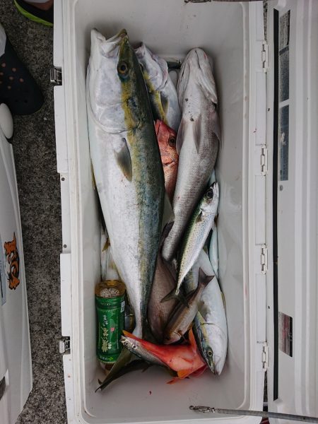 エンペラー 釣果