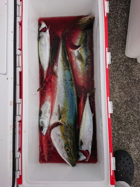 エンペラー 釣果