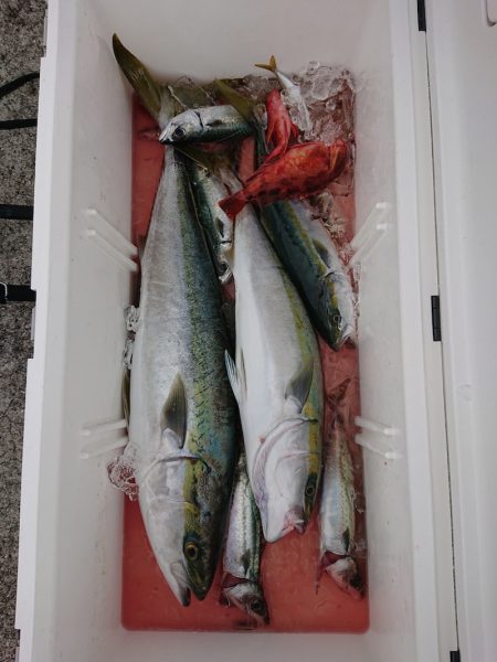 エンペラー 釣果