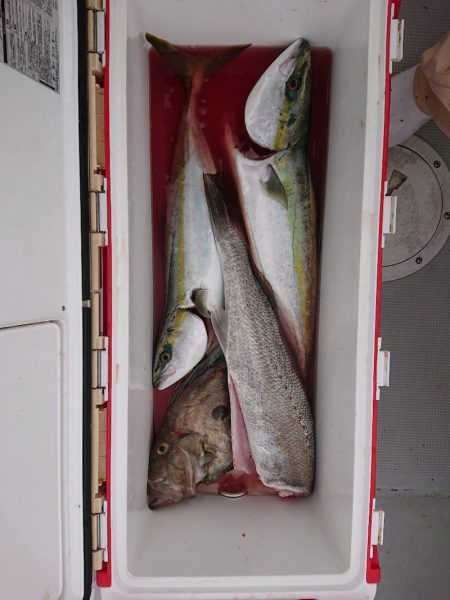 エンペラー 釣果