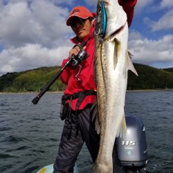 アマテラス 釣果