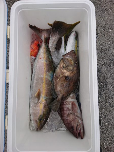 エンペラー 釣果