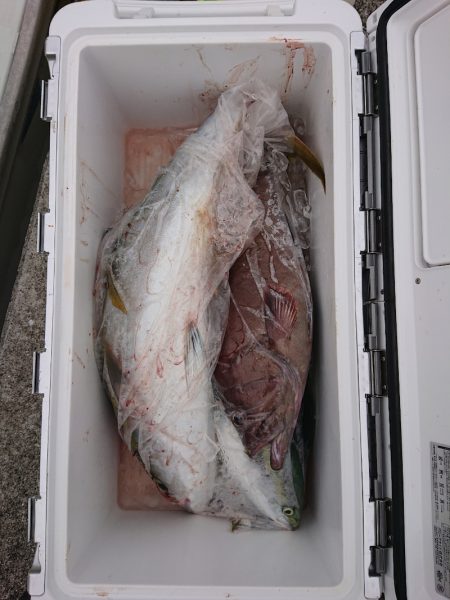 エンペラー 釣果