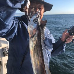 Ｖ−７ West 釣果