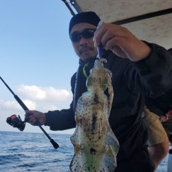 ソルトウォーターガイドフレンズ 釣果