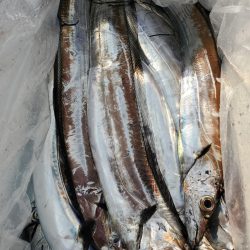 Soyamaru 釣果