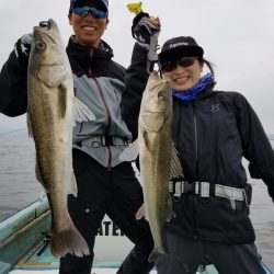 アマテラス 釣果