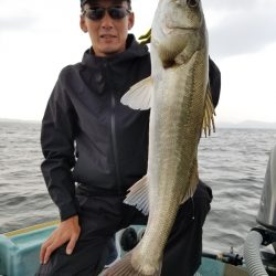 アマテラス 釣果