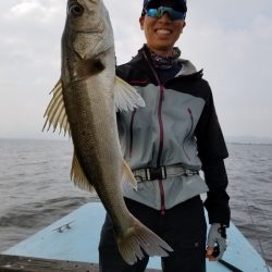 アマテラス 釣果