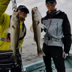 アマテラス 釣果