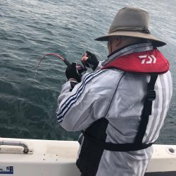 Ｖ−７ West 釣果