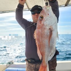 ソルトウォーターガイドフレンズ 釣果