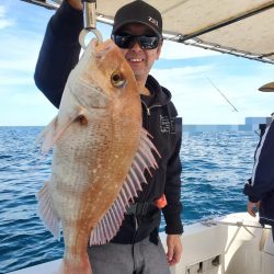 ソルトウォーターガイドフレンズ 釣果