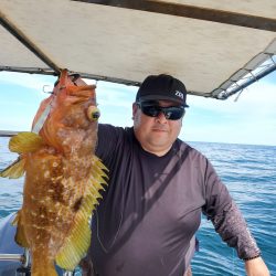 ソルトウォーターガイドフレンズ 釣果