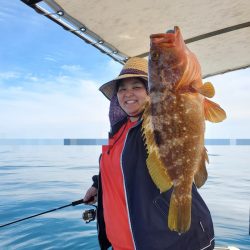 ソルトウォーターガイドフレンズ 釣果