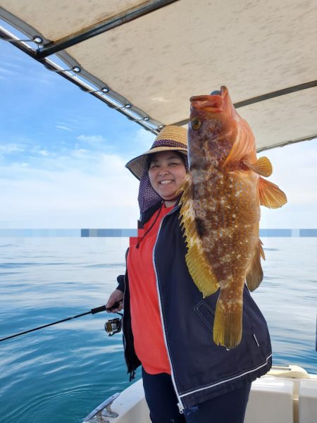ソルトウォーターガイドフレンズ 釣果