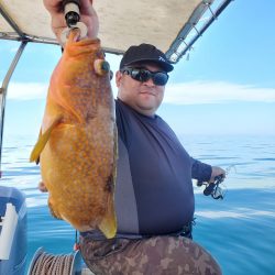 ソルトウォーターガイドフレンズ 釣果