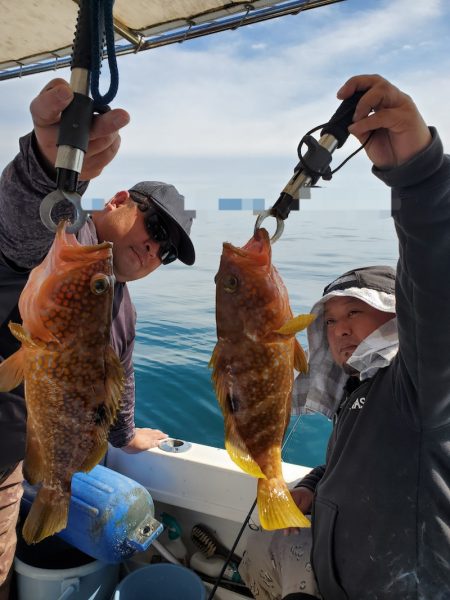 ソルトウォーターガイドフレンズ 釣果