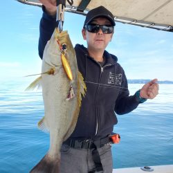 ソルトウォーターガイドフレンズ 釣果