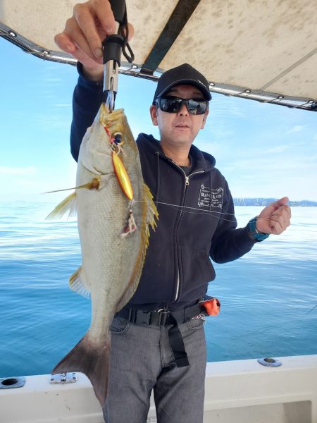 ソルトウォーターガイドフレンズ 釣果